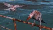 Gaviota radiactiva en Fallout 4