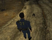 Поза інвентарю