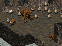 Kerith guarding the deathclaw eggs in Fallout 2