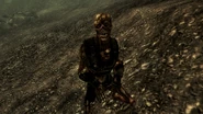 Mother Curie III Ghoul.jpg (582 KB) Mother Curie III after mutating into a feral ghoul reaver at the Megaton ruins