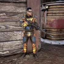 Стрелок из карабина Братства