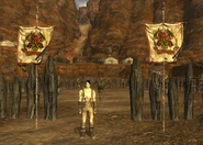 Jerry, en frente de la arena de los Grandes Khans.