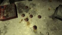 Chapas encontradas en el Mojave