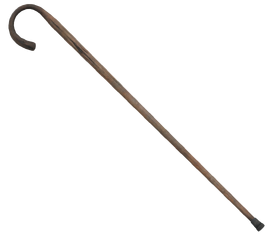 Walking cane