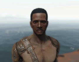 Fo4 Curator Givens