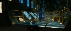 Vault 31 cryo