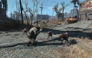 Vicious Dogs and Farmer.png