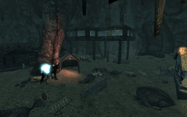 A Brains Best Friend