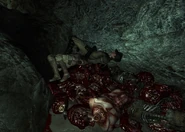 Jack Enclave officer.jpg (644 kB)