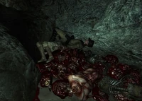 The Enclave officer holding Jack