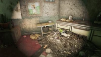Hoarder's apartment