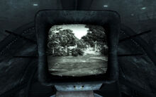 Black and white adventure begins.jpg