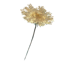Carrot flower.png