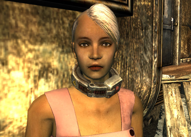 Fallout 3 - My new companion, The slightly lesbian looki…