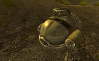 FNV Fusion Flea front 2