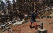 FO76WL Woodcutter Scav.jpg