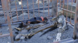 FO76 Рубик