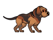 Bloodhound