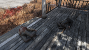 FO76WL RE Former Bullies.png