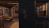 FO76 Isolated cabin (Ghoul's notes)