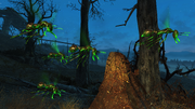 Flying glowing ant swarm