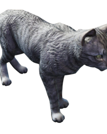 House Cat Fallout Wiki Fandom