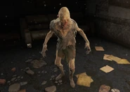 Director.png (965 KB) Jon Elwood, the former director of Cambridge Polymer Labs