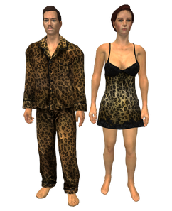 Sexy sleepwear (Fallout: New Vegas), Fallout Wiki