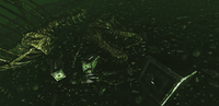 Submerged T-Rex closeup