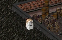 New Reno Arms' basement