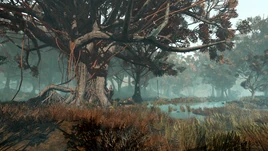 FO76 Gnarled shallows (10)