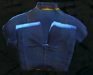 Fo4 folded jumpsuit back.jpg (73 КБ)