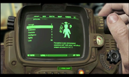 Pip-Boy 3000 Mark IV