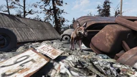 FO76 Tiny foxy 1.png (2.88 MB) Scouting fox