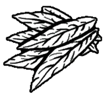 Coyote tobacco chew | Fallout Wiki