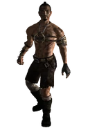 Регулярна броня рейдерів, чоловічий варіант