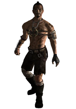 Raider Ordinance Armor