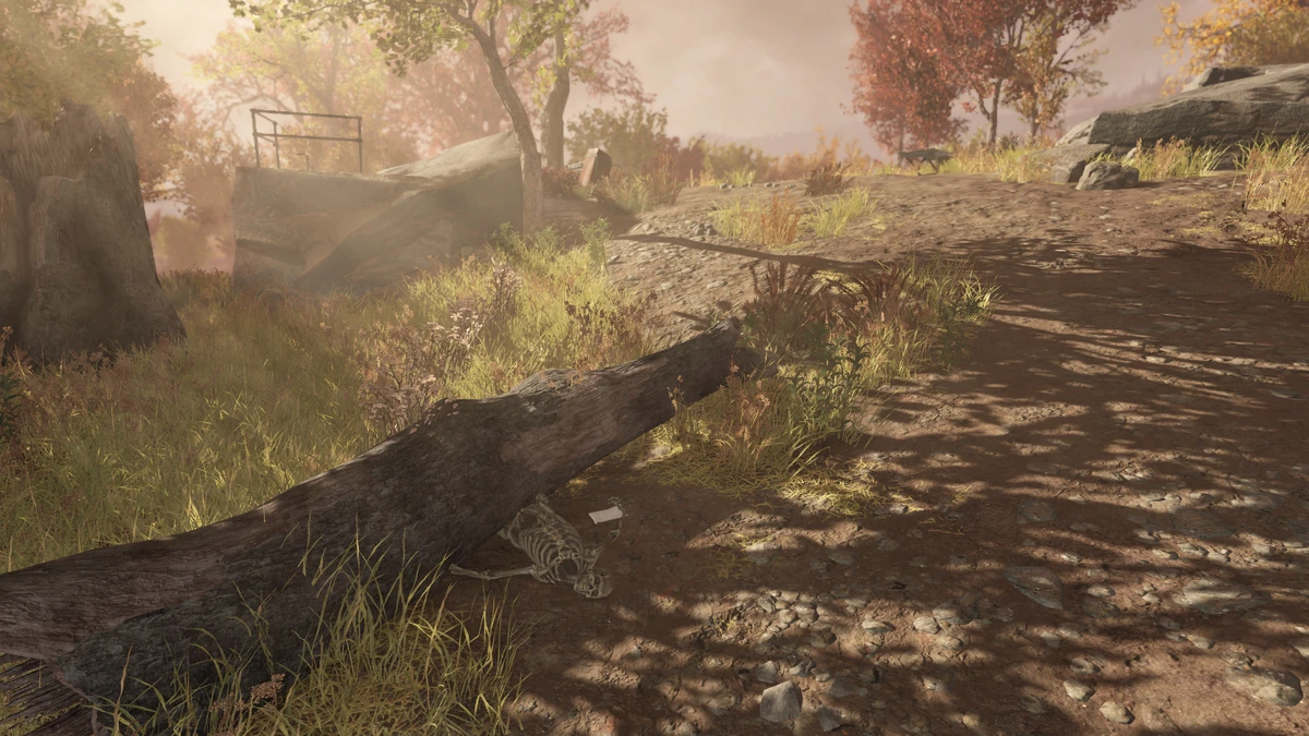 Bee | Fallout Wiki | Fandom