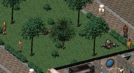 Fo2 Vault City slave