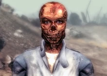 Moira als Ghul, nachdem Megaton zerstört wurde