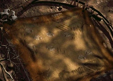 Bubble Butt Midget Bubble Butt Midget