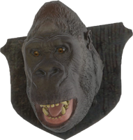 A mounted gorilla head