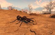 FO4NW Exterior 85.jpg
