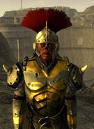 Gaius Magnus, commander of the legionary marked men