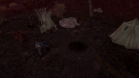 Cannibal's campsite