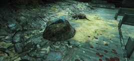 FO76 Search Disturbed Dirt for Salvage