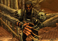 John Bear.jpg (485 KB) John Bear