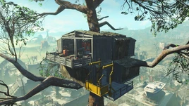 Casa del árbol de Chapita