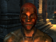 FO3TPPittRaider16.png (611 KB)