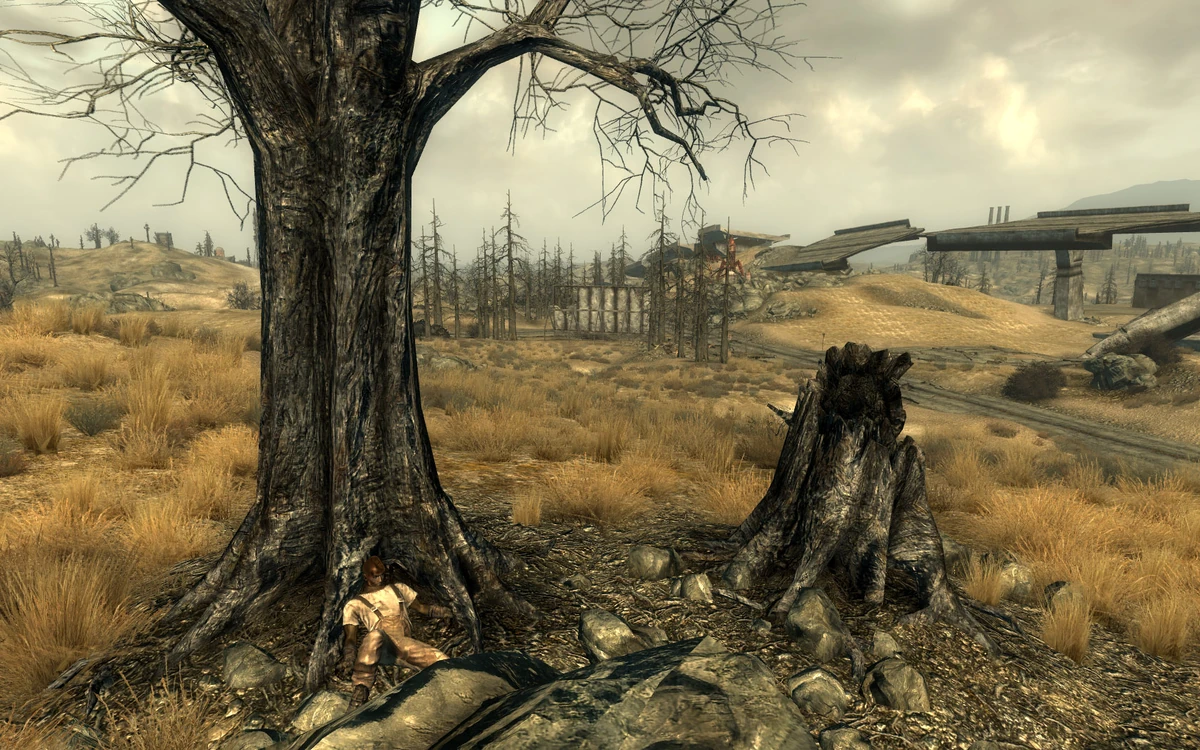 Фоллаут 4 фон. Зона сталкер арт чаэс. Странная пустошь. Странная пустошь. Сталкер 2 поле.